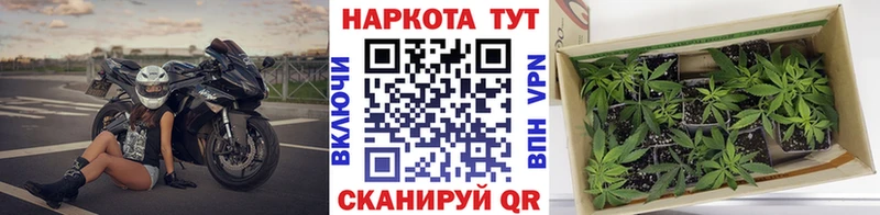Вейп ТГК Малоархангельск