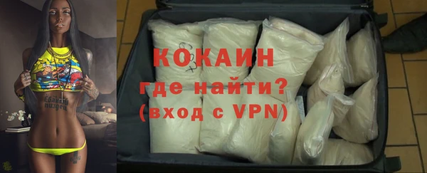 стаф Кодинск