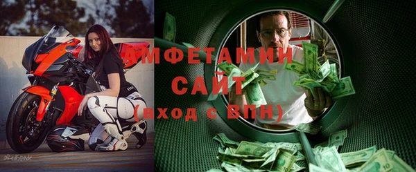 индика Туринск