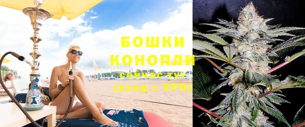 сатива Корсаков