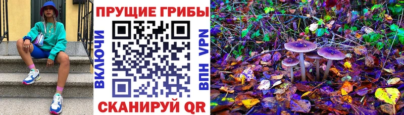 Галлюциногенные грибы мицелий  Малоархангельск 